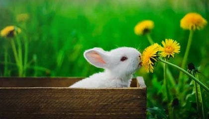 昆山伴游，定制QQ：3494206190微信：act1322